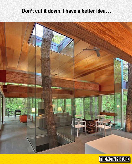 cool-house-design-tree-inside