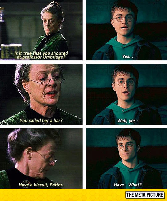 Professor McGonagall Telling It Like It Is