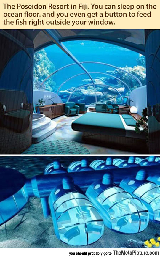 cool-Fiji-underwater-hotel-rooms-water