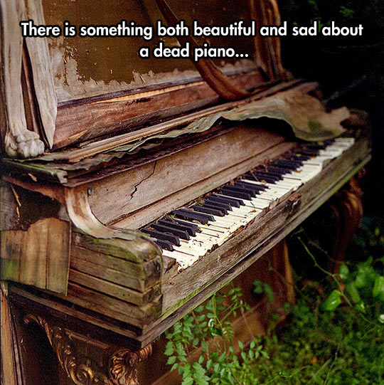 The Death Of A Piano