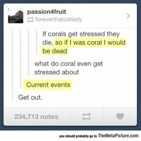 When Corals Get Stressed