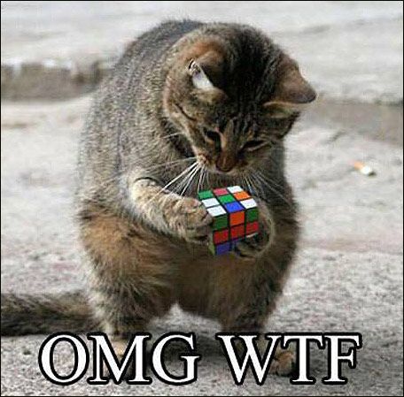 https://thumbpress.com/wp-content/uploads/2011/03/omg-wtf.jpg