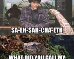 What Harry really said…