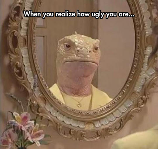 funny-mirror-lizard-face-ugly.jpg