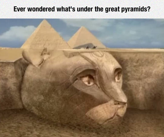 funny-cat-pyramids-giant-head-Egyptian.jpg