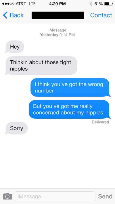 15 Hilarious Wrong Number Sexts