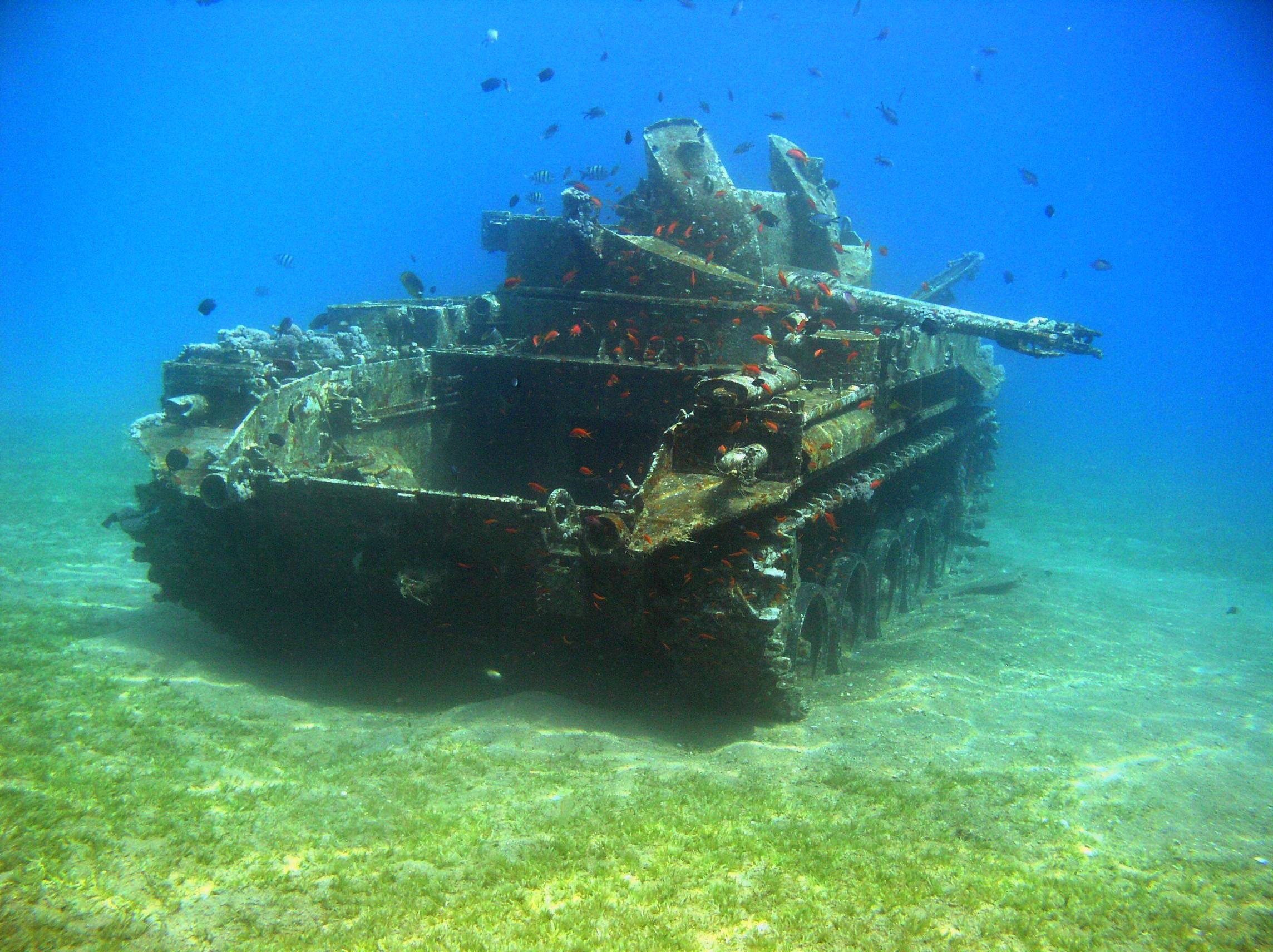 A fish tank.