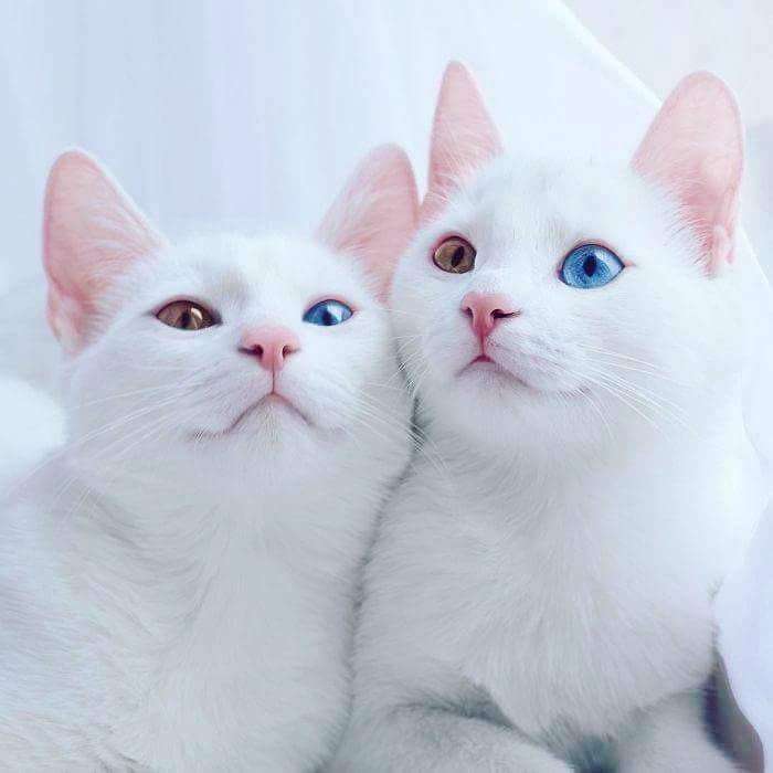 Matching eyes.